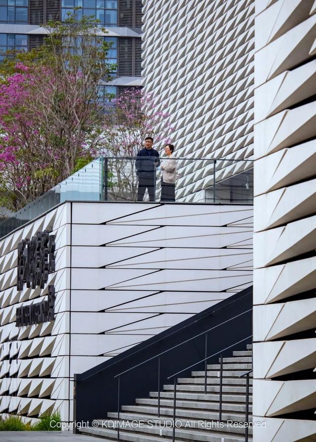 ​别再说深圳是文化沙漠！这份双馆暴走攻略，让你重新认识这座城市