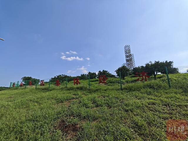 成都金堂：卖橘子，更要卖风景