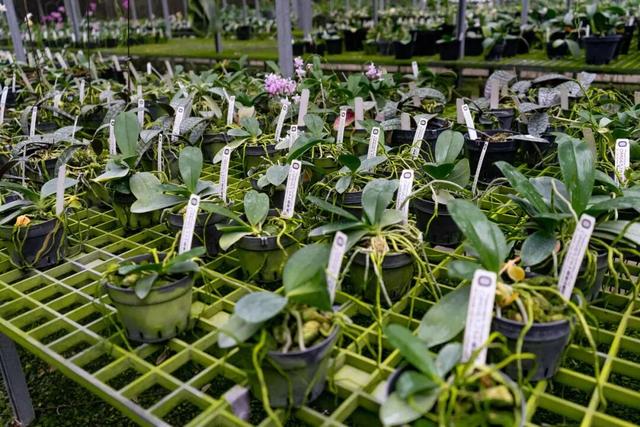 他初中毕业后终身不婚，荒野舍命工作20年，被一群博士封神