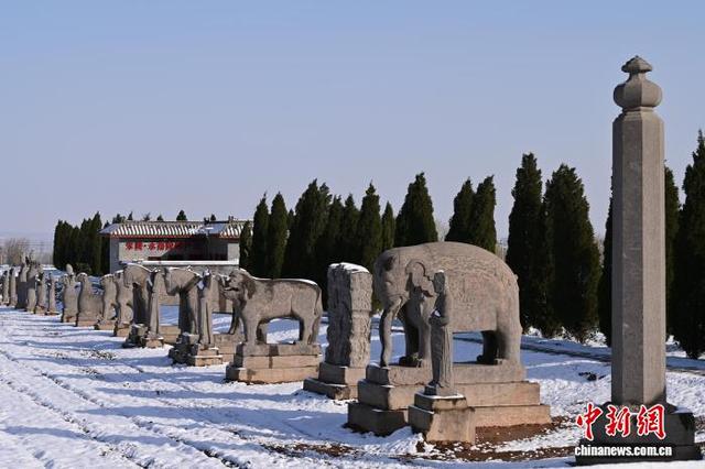 河南巩义宋陵冬景上新 小麦、初雪、石像生同框