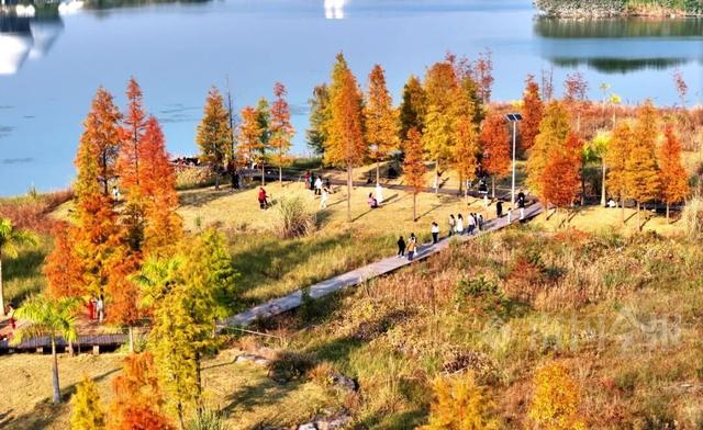 柳州，彩色刷屏！大反转也要来了！