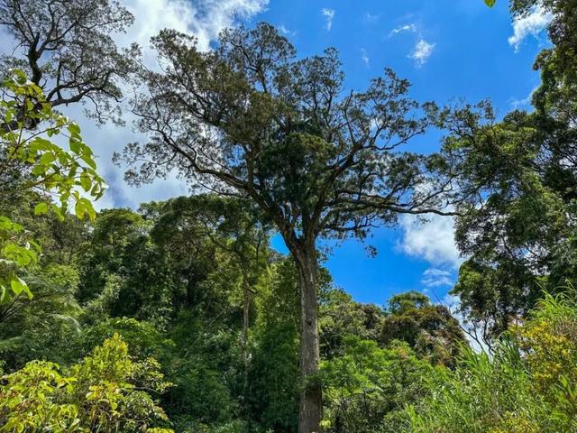 陵水过冬指南：除了晒太阳，还能这么玩！
