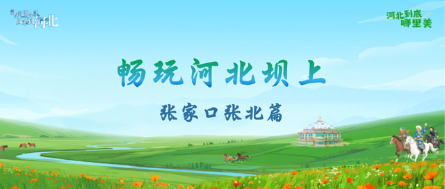 夏游张家口 消夏避暑季| 畅玩河北坝上之张家口张北篇