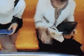 上海地铁上出现一只价值十几万的包……在地铁上丢了东西，怎么办？图片