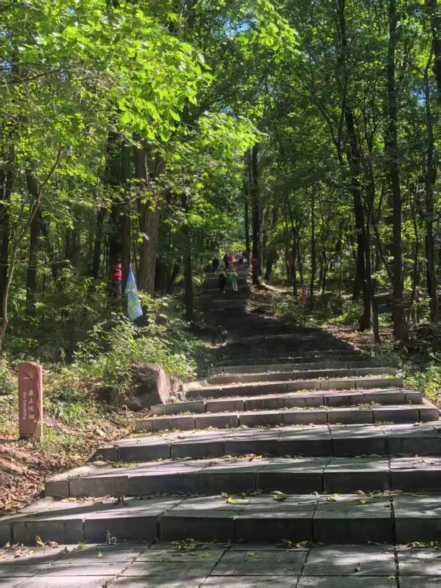 翻开“天然的动植物百科全书”！10月7日，咱一起去登松峰山！今日开始报名