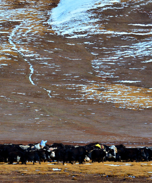 去过石渠县，才算走完了川西