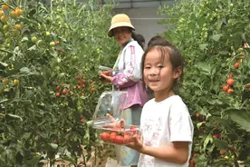 增效强链助力农户增收——记一座国家级生态农场的绿色发展实践图片