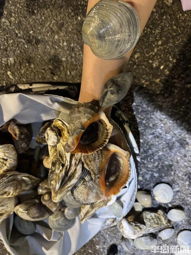 青岛大量海鲜被冲上岸 有人捡60多斤