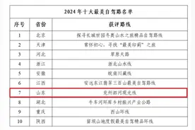 喜报！山东这条路入选2024年“行在乡村 游在路上”十大最美自驾路图片