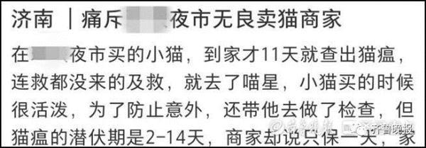 admin 第160页