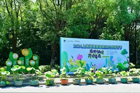 荷香四溢！上海海湾国家森林公园荷花节已盛大开幕，来感受一场视觉与心灵的盛宴！图片