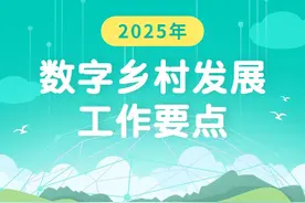 【图解】四部门印发《2025年数字乡村发展工作要点》图片