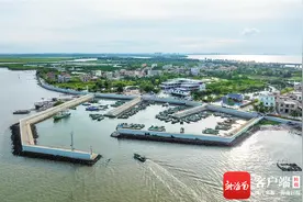 文旅周刊 | 一桥重生北港岛：新晋网红打卡点，海口旅游新名片图片