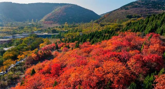 四季流转 多彩枣庄 | 枣庄：凤凰绿道色彩斑斓风景如画