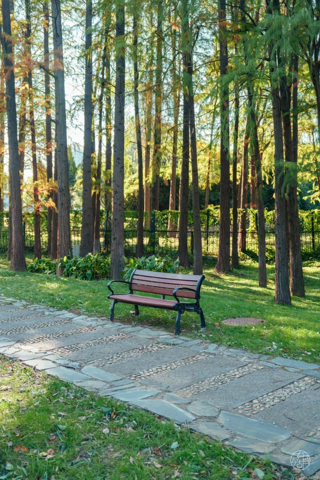 人少景美不绕路，东湖秋日彩蛋上新