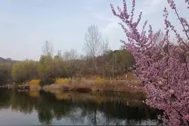 人生百味，只可意会，人生实苦，唯有自渡图片