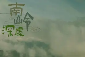 湖南版“哀牢山”，藏着一个野世界图片