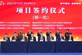 “投资新余”——2025数字经济产业招商推介会举行图片