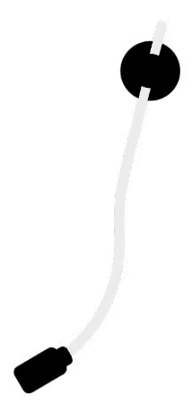 2025年钦州蚝情节活动大揭秘→