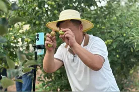 内蒙古伊金霍洛旗：驻村第一书记直播矩阵让好农货卖上好价钱图片