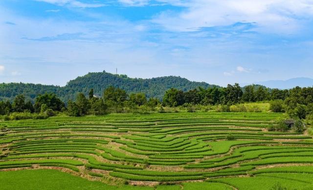 打卡清单更新中！国家4A级旅游景区，重庆拟+3