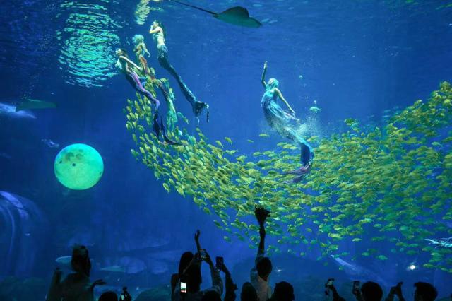 湖南湘江文化旅游有限公司揭牌  湘江欢乐海洋国潮季同步启动