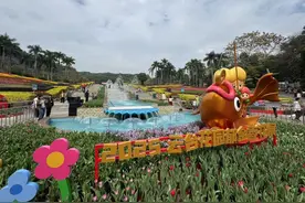 12万株郁金香盛放，2025云台花园郁金香花展来了！图片