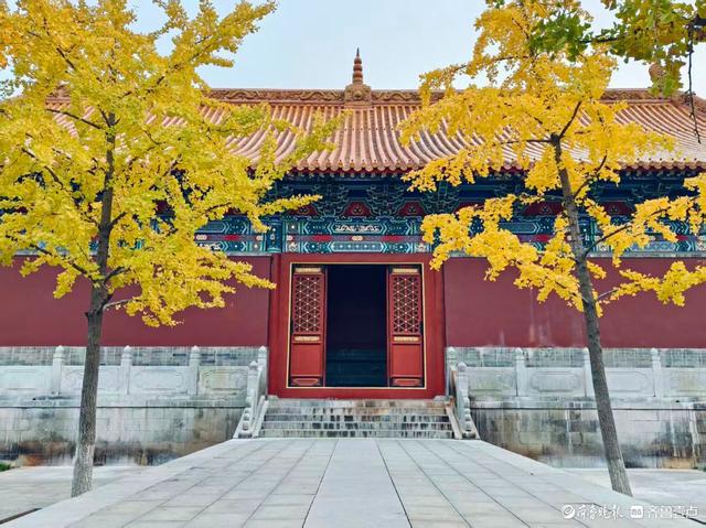 文庙秋韵，金叶叩红墙