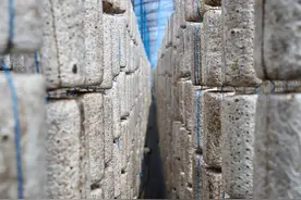 “小蘑菇”长成“大产业”——牡丹江食用菌产业发展见闻图片