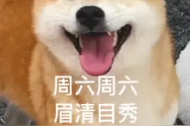 周六继续雨雨雨雨雨雨 ！雷阵雨+8级大风，深圳接下来……图片