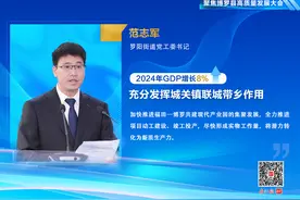罗阳街道党工委书记范志军：将潜力转化为新质生产力图片