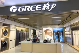 掉队的格力电器，被强化的“董明珠”图片