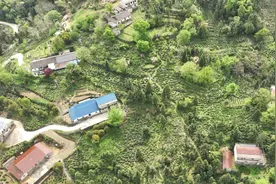 池州贵池：“解锁”乡村振兴新玩法 力促“产业+旅游”融合发展图片
