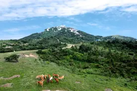 随县：玉皇山上好风光图片