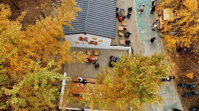 日均客流达平日3倍，新都秋假热门地TOP1