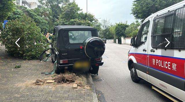 为躲避突然冲出的一只狗，著名导演陈可辛驾奔驰车撞断人行道旁的树木，陈可辛未受伤