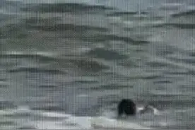 小男孩海边玩耍被海浪越卷越远，退役特种兵5分钟生死营救图片