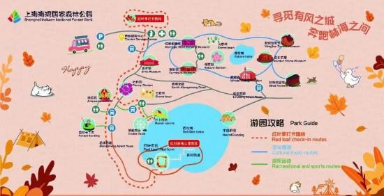 魔都最大水杉林，开始红了！