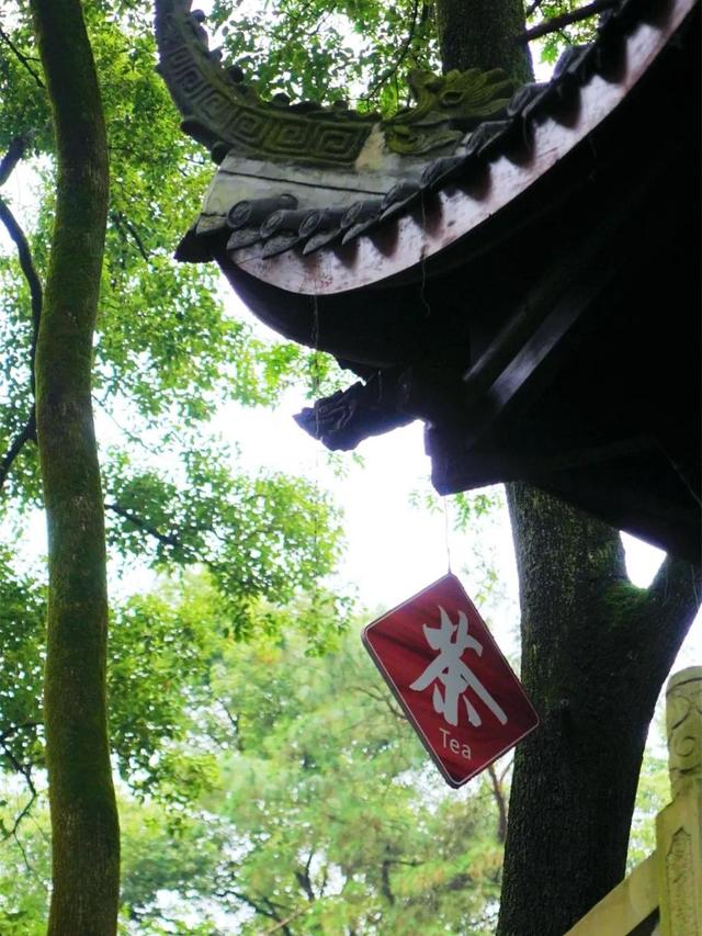 千年人文 诗画大佛 | 在山林中，与秋相逢