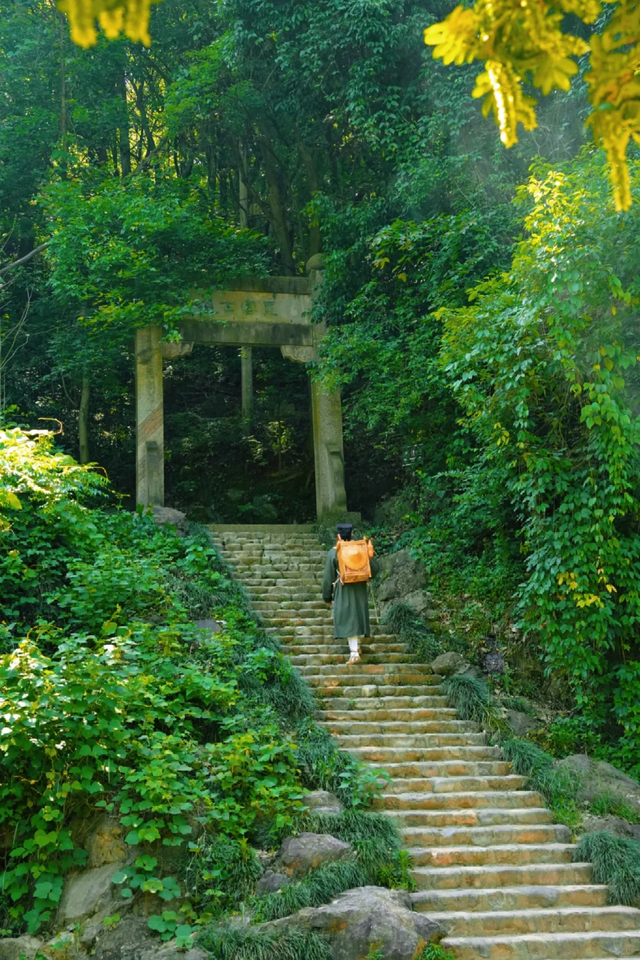 今天过节！这些景区对老年人有优惠、免票政策