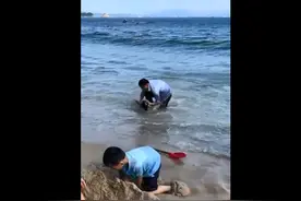 看好孩子！一幼童在大梅沙海边玩沙被海浪拍倒卷走，幸得一游客及时抱起图片