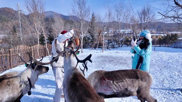 穿越百年时光 打卡“冰雪奇境”横道河子