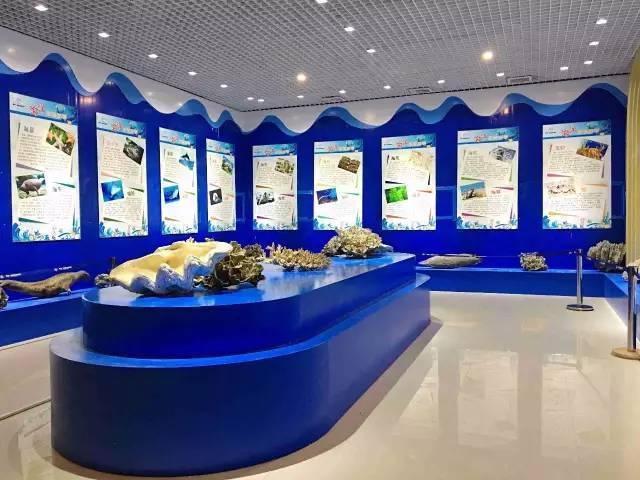 春节遛娃好去处 石林冰雪海洋世界推出2月限定梦幻灯展夜场