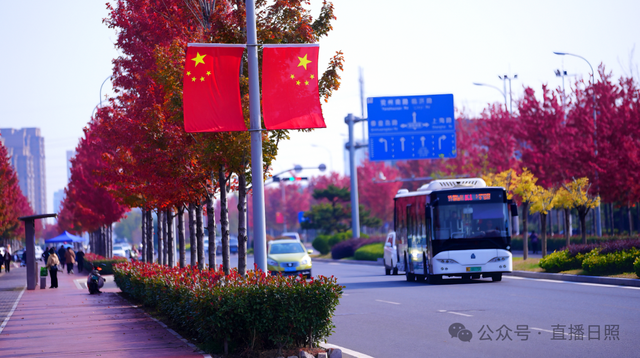 日照这条路！美得燃起来了！