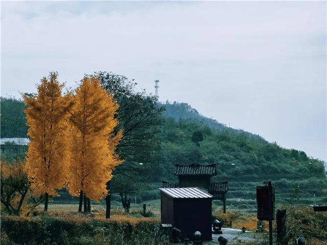 【万里边疆国旗红】行走黔北红色地标 追寻长征印记