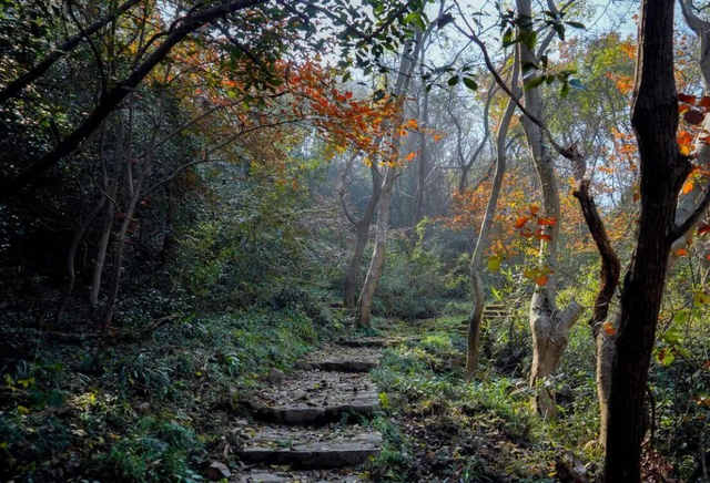 这个周末，我要去趟句容