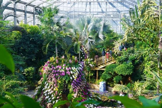 跨年别宅家！武汉公园元旦3天玩法全攻略来了