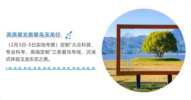 云南丽江：“拉市海观鸟季”系列宣传活动即将开启