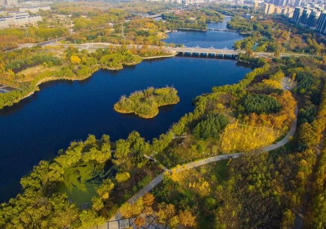 今日立冬！三个仪式解锁肥城初冬的终极浪漫！