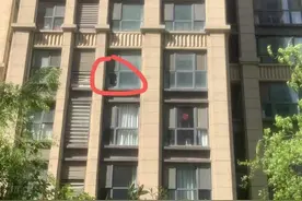 大风刮碎六楼玻璃砸中一楼自建阳光房，该谁赔？律师解读图片